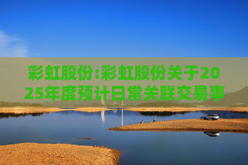 彩虹股份:彩虹股份关于2025年度预计日常关联交易事项的公告