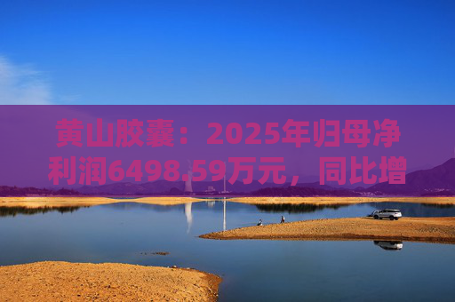 黄山胶囊：2025年归母净利润6498.59万元，同比增长31.94%