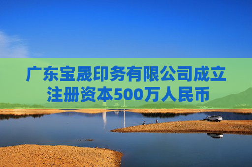 广东宝晟印务有限公司成立 注册资本500万人民币  第1张