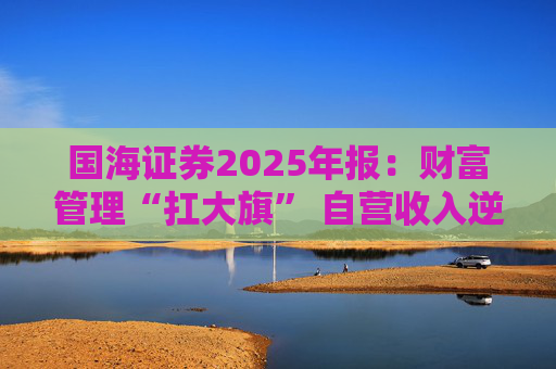 国海证券2025年报：财富管理“扛大旗” 自营收入逆势大降 投行收入占比仅2%  第1张