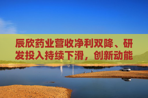 辰欣药业营收净利双降、研发投入持续下滑，创新动能不足亟待破局