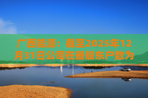 广西能源：截至2025年12月31日公司在册股东户数为53413户