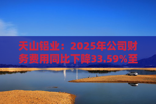天山铝业：2025年公司财务费用同比下降33.59%至4.70亿元  第1张