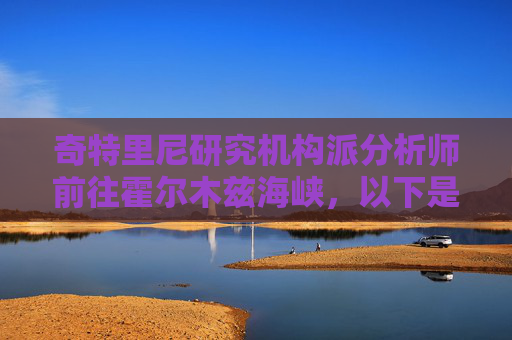 奇特里尼研究机构派分析师前往霍尔木兹海峡，以下是其调查结果