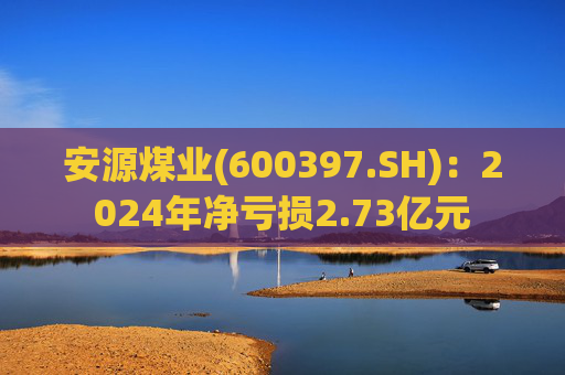 安源煤业(600397.SH)：2024年净亏损2.73亿元