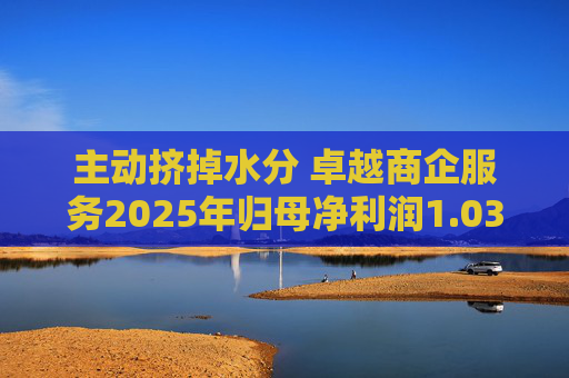 主动挤掉水分 卓越商企服务2025年归母净利润1.03亿元  第1张