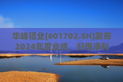 华峰铝业(601702.SH)发布2024年度业绩，归母净利润12.18亿元，同比增长35.44%  第1张