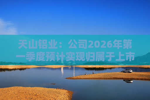 天山铝业：公司2026年第一季度预计实现归属于上市公司股东的净利润220000万元  第1张