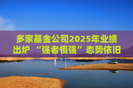 多家基金公司2025年业绩出炉 “强者恒强”态势依旧