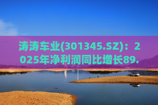 涛涛车业(301345.SZ)：2025年净利润同比增长89.29% 拟10派15元
