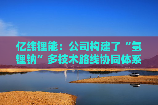 亿纬锂能：公司构建了“氢锂钠”多技术路线协同体系