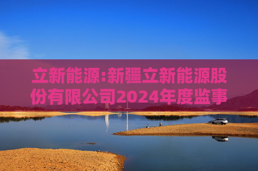 立新能源:新疆立新能源股份有限公司2024年度监事会工作报告