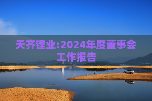天齐锂业:2024年度董事会工作报告