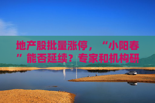 地产股批量涨停，“小阳春”能否延续？专家和机构研判来了