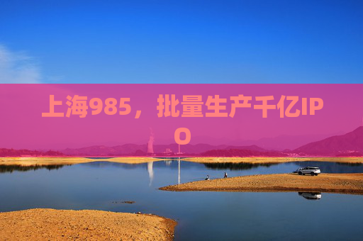上海985，批量生产千亿IPO