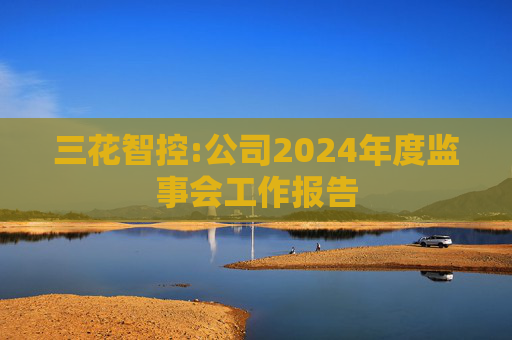 三花智控:公司2024年度监事会工作报告