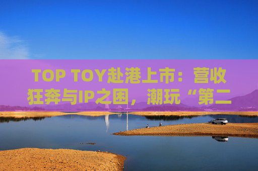 TOP TOY赴港上市：营收狂奔与IP之困，潮玩“第二极”如何穿越估值迷局？