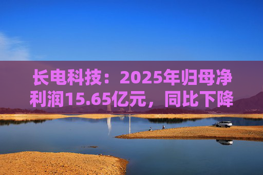 长电科技：2025年归母净利润15.65亿元，同比下降2.75%