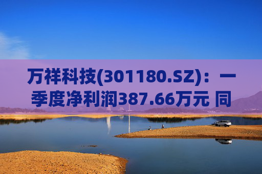 万祥科技(301180.SZ)：一季度净利润387.66万元 同比增加2125.47%