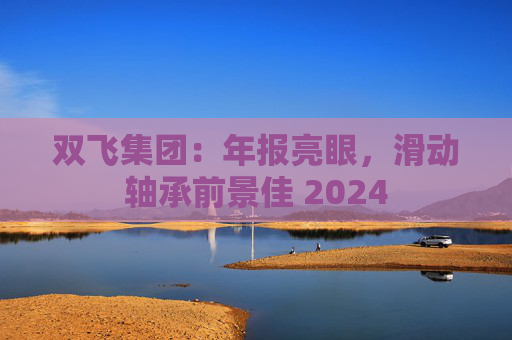 双飞集团：年报亮眼，滑动轴承前景佳 2024