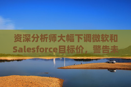 资深分析师大幅下调微软和Salesforce目标价，警告未来一年将"艰难"
