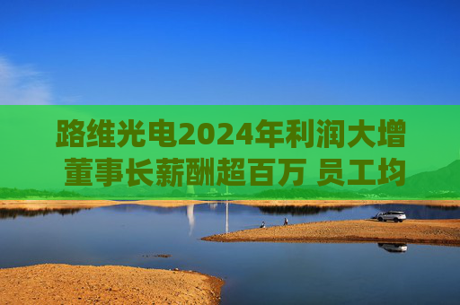 路维光电2024年利润大增 董事长薪酬超百万 员工均薪亦涨