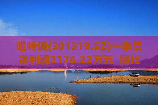 唯特偶(301319.SZ)一季度净利润2176.22万元  同比增长0.70% 第1张
