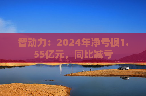 智动力：2024年净亏损1.55亿元，同比减亏  第1张