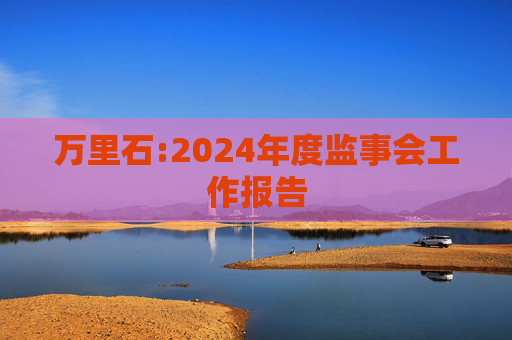 万里石:2024年度监事会工作报告  第1张