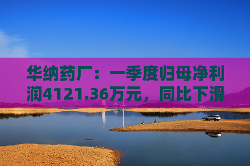 华纳药厂：一季度归母净利润4121.36万元，同比下滑31.37%