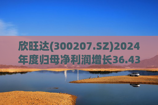欣旺达(300207.SZ)2024年度归母净利润增长36.43%至14.68亿元，动力电池出货量合计25.29GWh