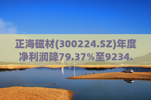 正海磁材(300224.SZ)年度净利润降79.37%至9234.02万元  高性能钕铁硼永磁材料销量实现连续七年增长