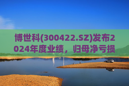 博世科(300422.SZ)发布2024年度业绩，归母净亏损8.65亿元，扩大300.66%