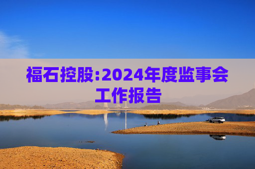 福石控股:2024年度监事会工作报告