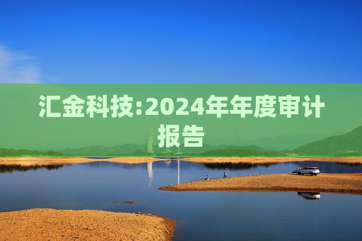 汇金科技:2024年年度审计报告  第1张