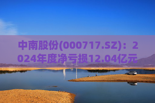 中南股份(000717.SZ)：2024年度净亏损12.04亿元
