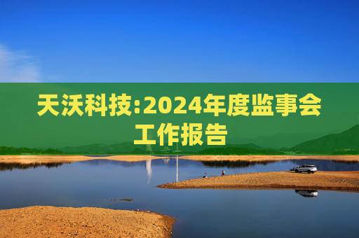 天沃科技:2024年度监事会工作报告  第1张