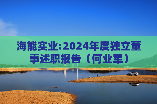 海能实业:2024年度独立董事述职报告（何业军）