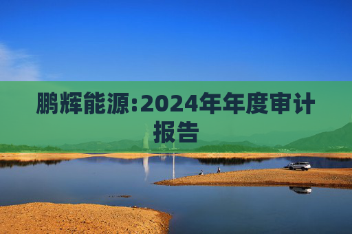 鹏辉能源:2024年年度审计报告