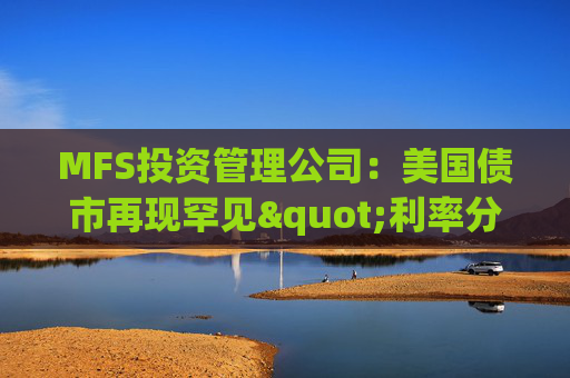 MFS投资管理公司：美国债市再现罕见"利率分化"现象