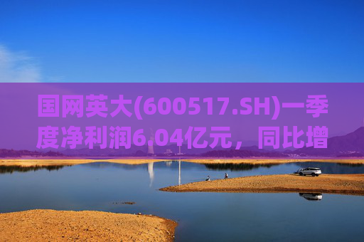 国网英大(600517.SH)一季度净利润6.04亿元，同比增长45.22%