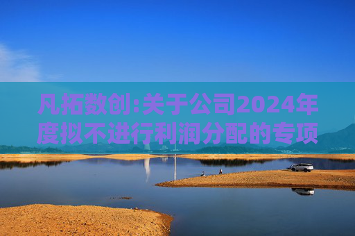 凡拓数创:关于公司2024年度拟不进行利润分配的专项说明
