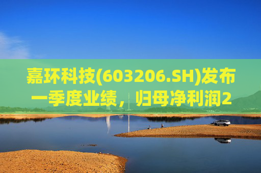 嘉环科技(603206.SH)发布一季度业绩，归母净利润2021.72万元，同比下降21.02%  第1张