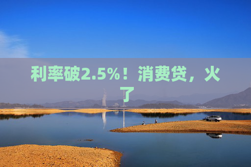 利率破2.5%！消费贷，火了