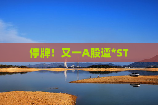 停牌！又一A股遭*ST