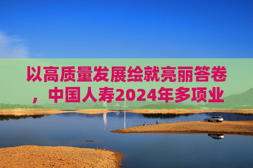 以高质量发展绘就亮丽答卷，中国人寿2024年多项业绩指标创历史最好水平