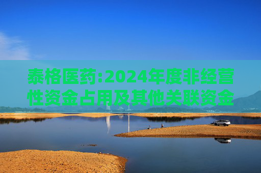 泰格医药:2024年度非经营性资金占用及其他关联资金往来情况的专项报告