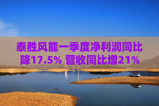 泰胜风能一季度净利润同比降17.5% 营收同比增21%