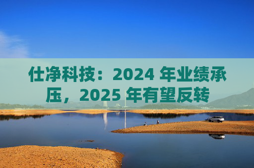 仕净科技：2024 年业绩承压，2025 年有望反转