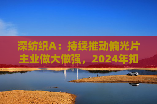 深纺织A：持续推动偏光片主业做大做强，2024年扣非归母净利润增长23.58%
